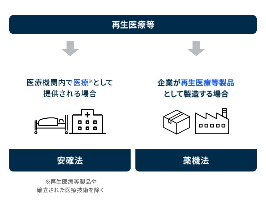 再生医療等